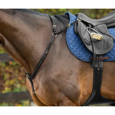 Image de Dyon Collier de Chasse Bridge Noir Cob