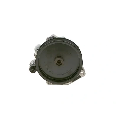Afbeelding van Bosch Servopomp K S00 000 637