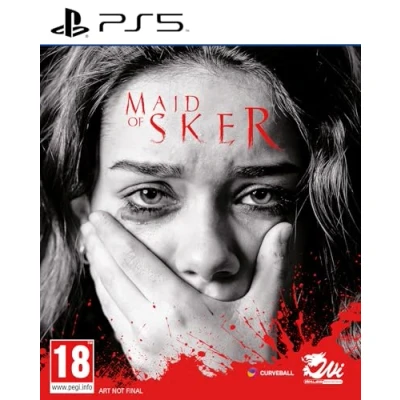Image de Maid of Sker PS5