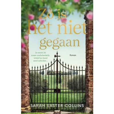 Image de Zo is het niet gegaan