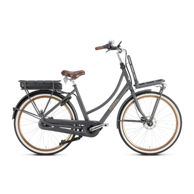 Afbeelding van Popal Daily Dutch Prestige E MM N7 576Wh