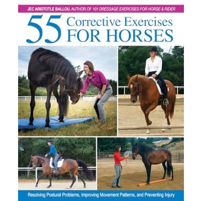 Afbeelding van 55 CORRECTIVE EXERCISES FOR HO