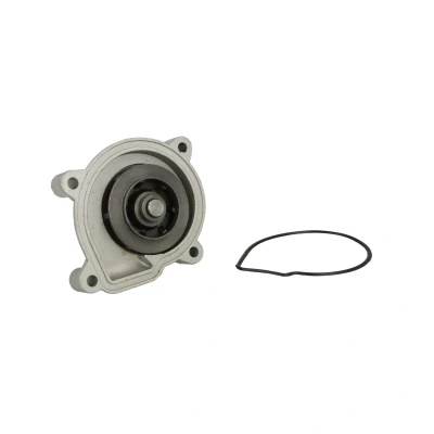 Afbeelding van THERMOTEC D1W056TT Waterpomp Met pakking Mechanisch VOLKSWAGEN: Polo V Hatchback, Golf 5, IV SKODA: Fabia 2, Octavia II Hatchback