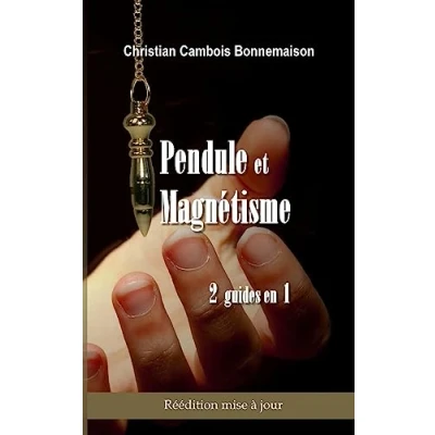 Afbeelding van Pendule et magnétisme
