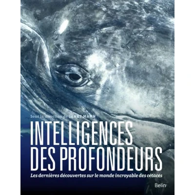 Image de Intelligences des profondeurs