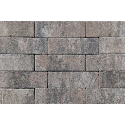 Afbeelding van Longstone opritsteen 31,5x10,5x7 cm oud drachten