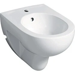 Afbeelding van Geberit Renova Wandbidet 55cm KeraTect Wit
