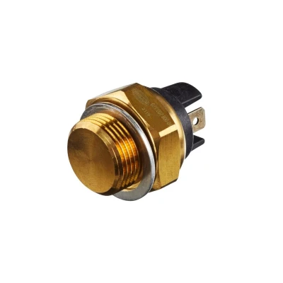 Afbeelding van Hella Temperatuurschakelaar 6ZT 007 800 041