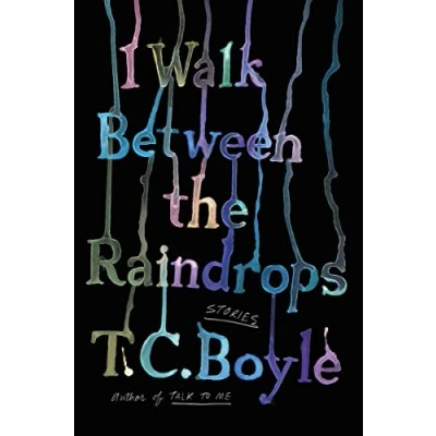Afbeelding van I Walk Between the Raindrops
