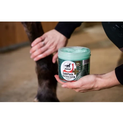 Afbeelding van Leovet Cold Pack 500ml