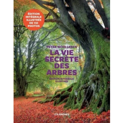 Image de La Vie secrète des arbres Edition illustrée