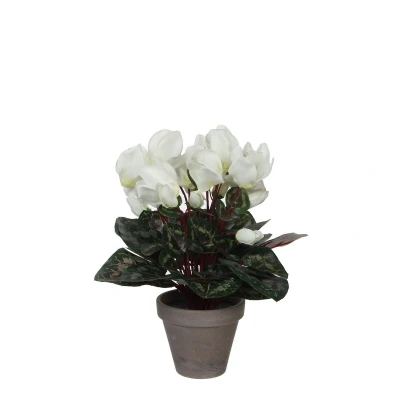 Afbeelding van Mica Decorations cyclamen wit in pot stan grijs (dia 11) 30x30