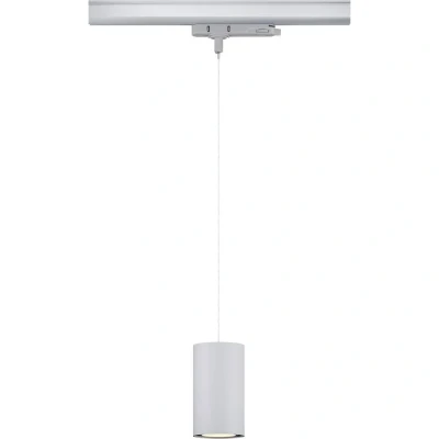 Afbeelding van Paulmann Kratos 96600 LED hanglamp 9 W Zilver