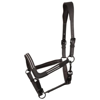 Image de Harry&#039;s Horse Licol Leder Flash NoirVendu par Agradi