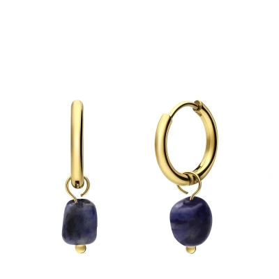 Afbeelding van Lucardi Dames Stalen goldplated oorringen met lapis lazuli Oorbellen Staal Goudkleurig