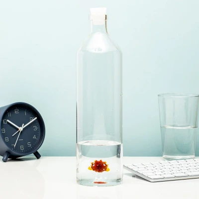 Afbeelding van Waterfles Wereldbolvis