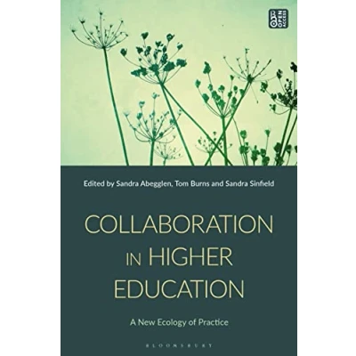Afbeelding van Collaboration in Higher Education