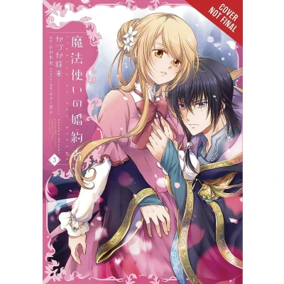 Afbeelding van Fiancee of the Wizard, Vol. 3