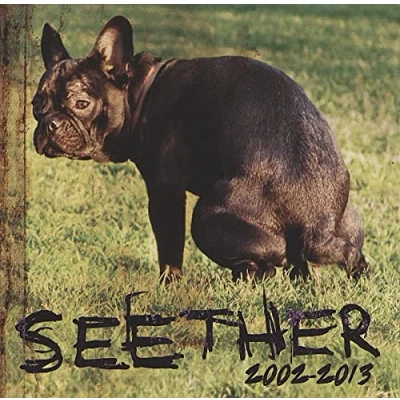 Afbeelding van Seether Seether: 2002 2013