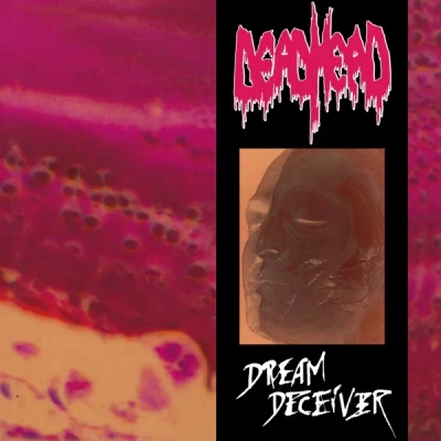 Afbeelding van Dead Head Dream Deceiver (LP)
