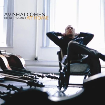 Afbeelding van Avishai Cohen At Home (LP)