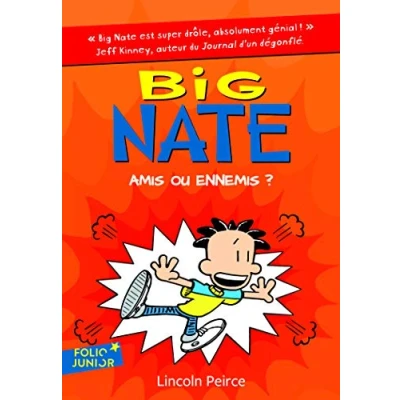 Afbeelding van Amis ou ennemis