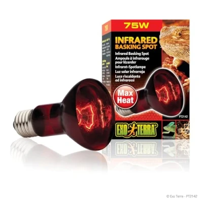 Image de Exoterra Éclairage pour Reptiles Lampe Infrared Basking Spot 75 W