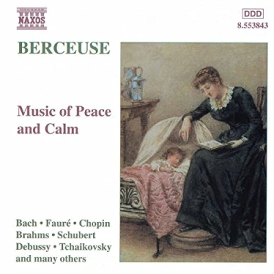Afbeelding van Various Artists Berceuse: Music Of (CD)