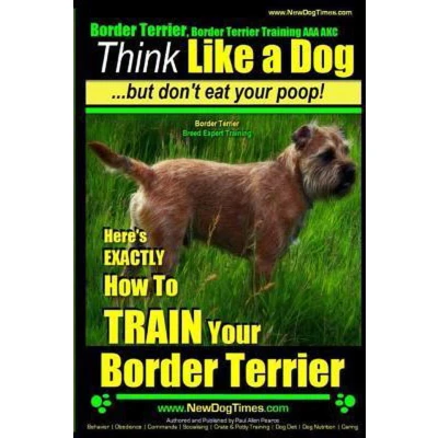 Afbeelding van Border Terrier, Terrier Training AAA Akc