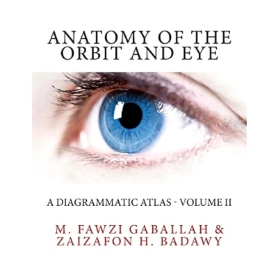 Afbeelding van Anatomy of the Orbit and Eye: A Diagrammatic Atlas Volume II: 2