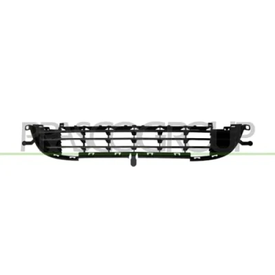 Afbeelding van PRASCO PG3242130 Bumper Grill Voor PEUGEOT: 207 SW, Hatchback