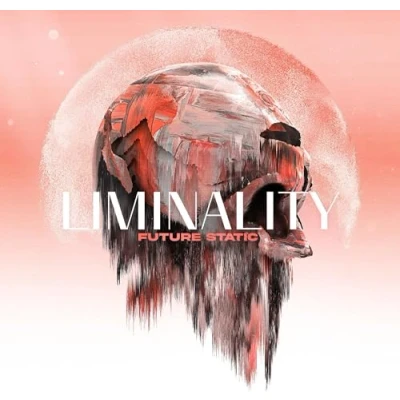 Afbeelding van Future Static Liminality (LP)