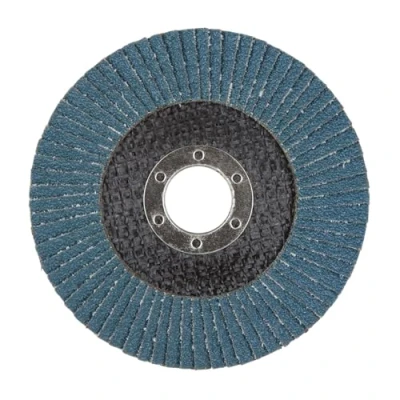 Afbeelding van wolfcraft 2029000 lamellenslijpschijf, korrel 40, diameter 115 mm