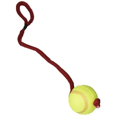Afbeelding van Trixie Tennisbal aan Koord