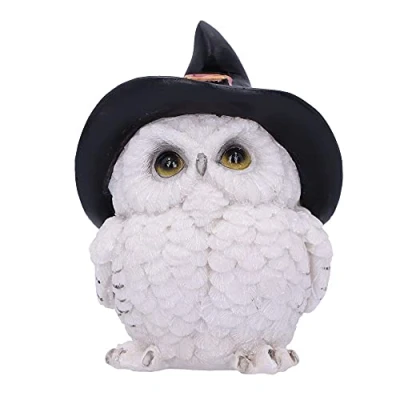 Afbeelding van Nemesis Now Sneeuwspreuken Uil Verzamelbaar Figuur 9cm