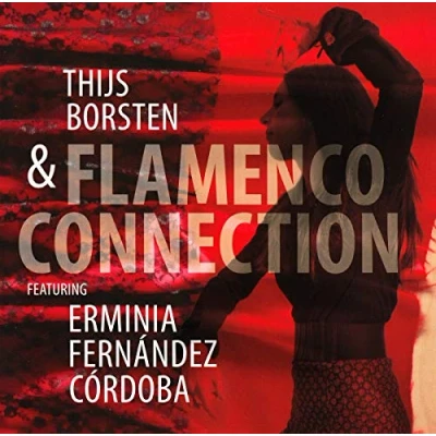 Afbeelding van Flamenco Connection (CD)