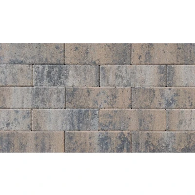 Afbeelding van Longstone opritsteen 31,5x10,5x7 cm musselkalk