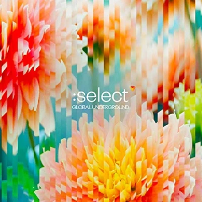 Afbeelding van Global Underground: Select #5
