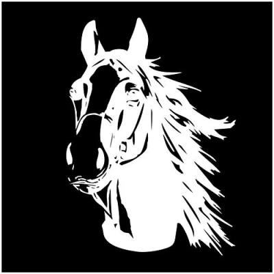 Afbeelding van Finest Folia Autosticker voor aanhanger, vrachtwagen, paard, auto, diermotief, K039 (wit glanzend, 30 x 21 cm)