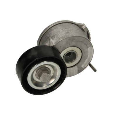 Afbeelding van Ina Spanner poly V riem 534 0369 10
