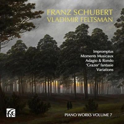 Afbeelding van Vladimir Feltsman Schubert: Piano Music (2 CD)