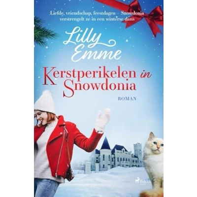 Afbeelding van Kerstperikelen in Snowdonia