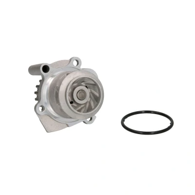 Afbeelding van THERMOTEC D1W037TT Waterpomp 19 Met pakking Mechanisch VOLKSWAGEN: Golf 5, Transporter Caddy 3, SKODA: Fabia 2, I Hatchback