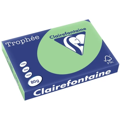 Afbeelding van Clairefontaine Trophée Pastel, gekleurd papier, A3, 80 g, 500 vel, natuurgroen papier
