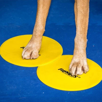 Afbeelding van FitPAWS Targets
