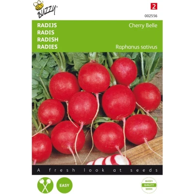 Afbeelding van Radijs Cherry Belle