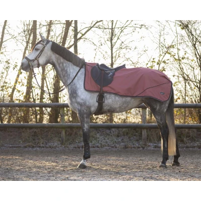 Image de QHP FW&#039;22 Exercise sheet turnout collection fleece