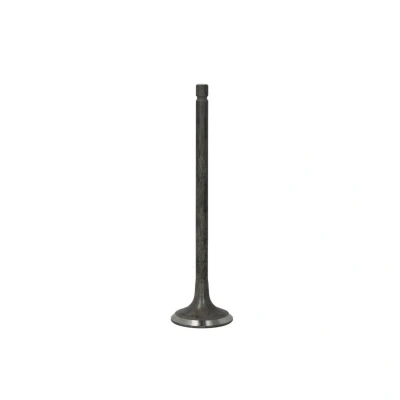 Afbeelding van IPSA VL189100 Uitlaatklep 27,7 RENAULT: GRAND SCENIC 3, NISSAN: Qashqai / Qashqai+2 I
