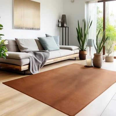 Afbeelding van HomebyHome Tapijt, 160 x 230 cm, bruin, wasbaar, laagpolig, effen, modern design, antislip, extra zacht, wollig, voor woonkamer, keuken, slaapkamer, kinderkamer