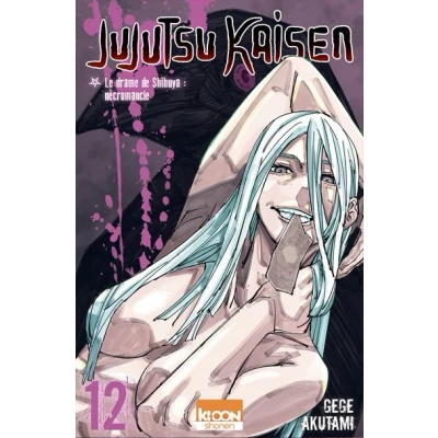 Image de Jujutsu Kaisen T12